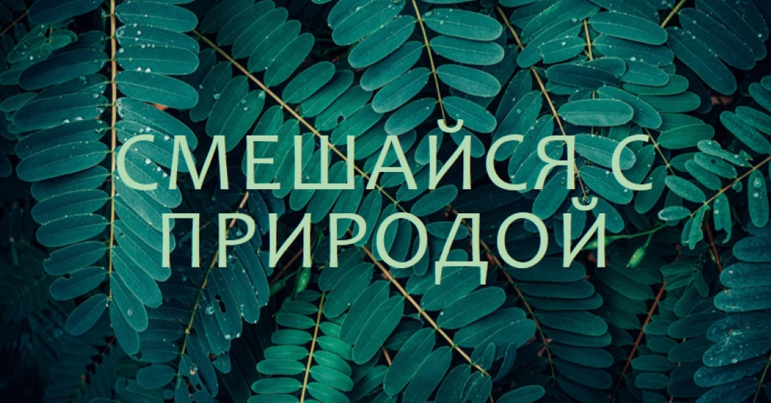 Смешайся с природой green modern-simple