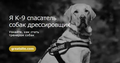 Я спасательная собака дрессировщик black modern-simple
