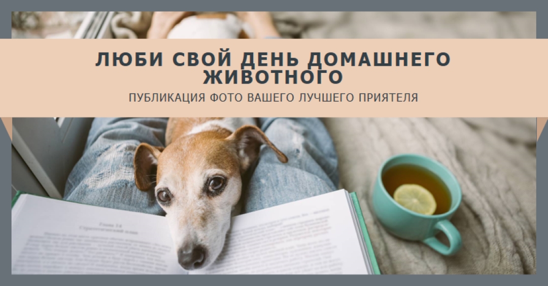 Ваш лучший приятель gray modern-simple