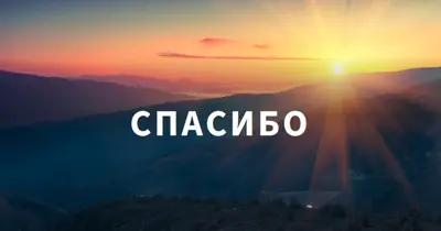 Новый рассвет blue modern-simple