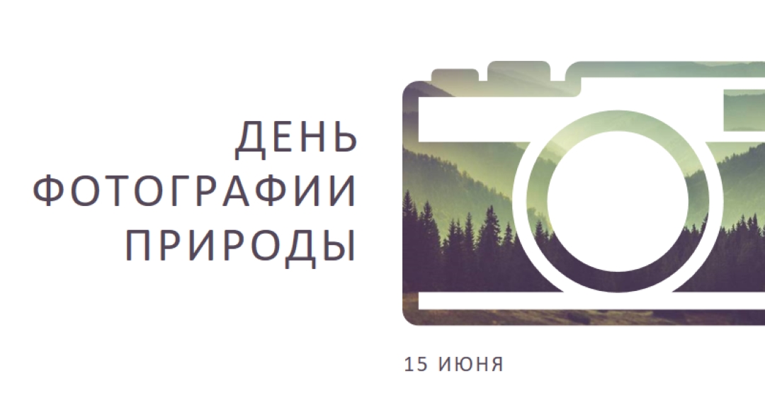 День фотографии природы white modern-simple
