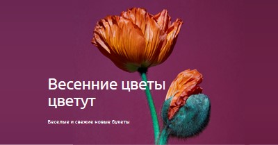 Свежие цветы purple modern-simple