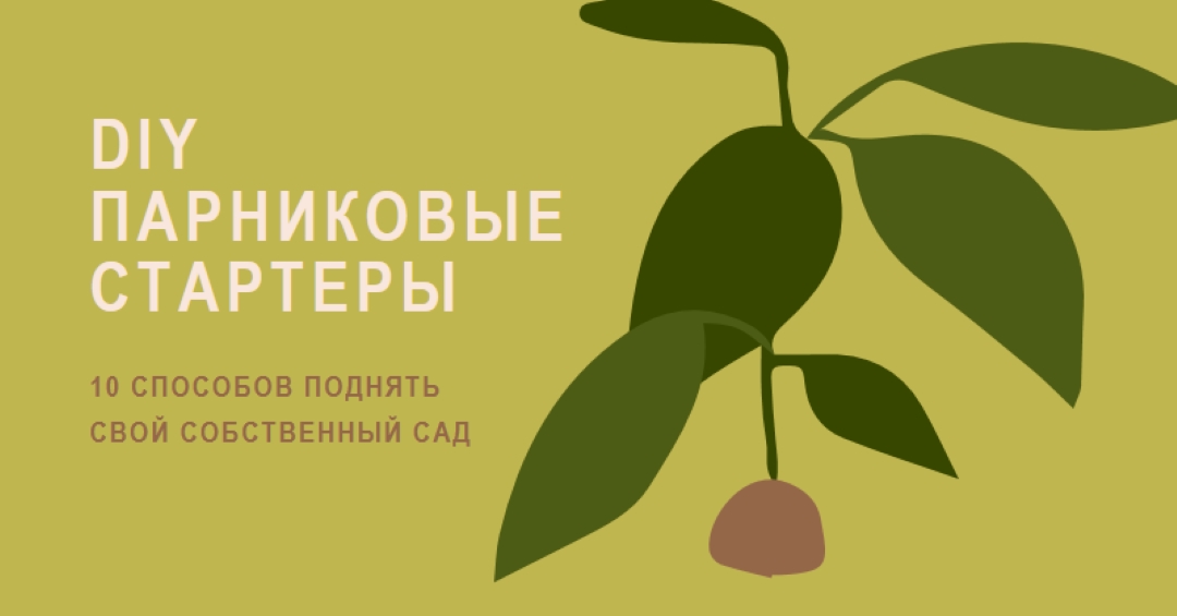 Возведите свой собственный сад green modern-color-block