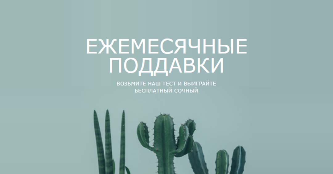 Ежемесячный тест на раздачи green modern-simple
