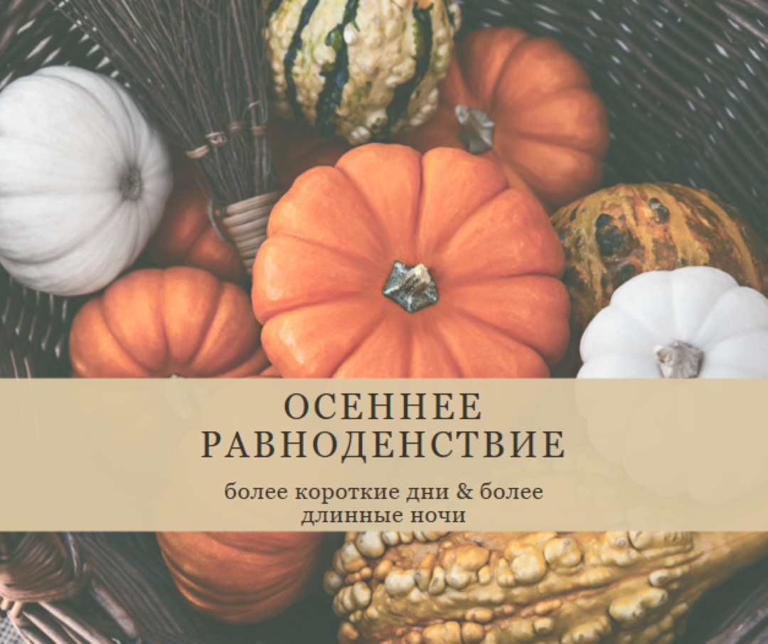 Празднуйте осеннее равноденствие orange modern-simple