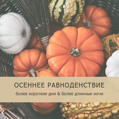 Празднуйте осеннее равноденствие orange modern-simple