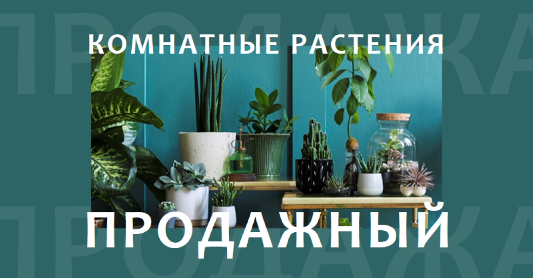 Электростанция green modern-bold