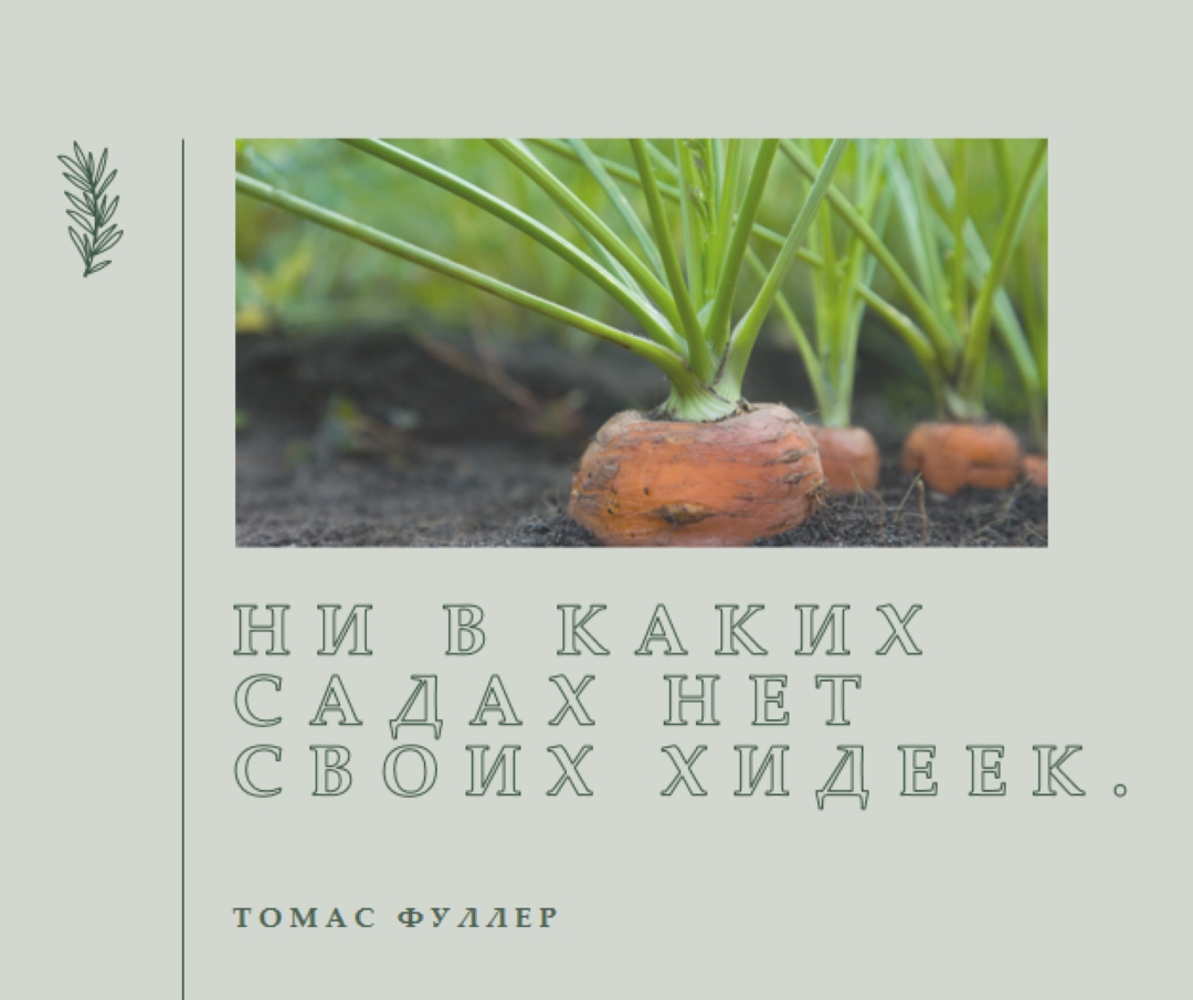 Глубокие корни green modern-simple