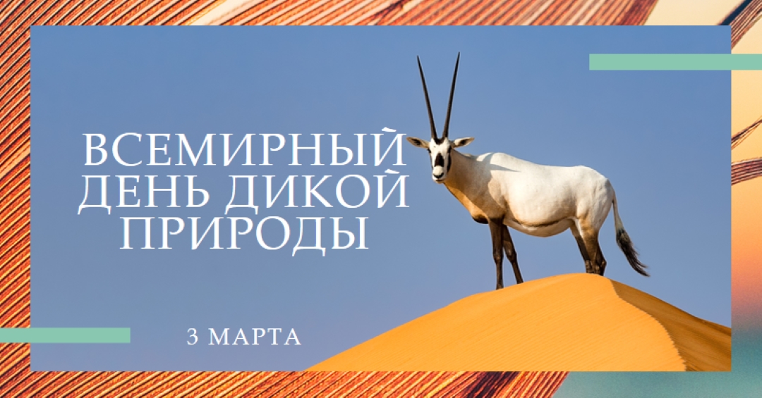 Празднование дикой природы orange modern-bold