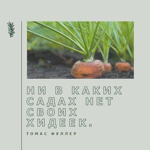 Глубокие корни green modern-simple