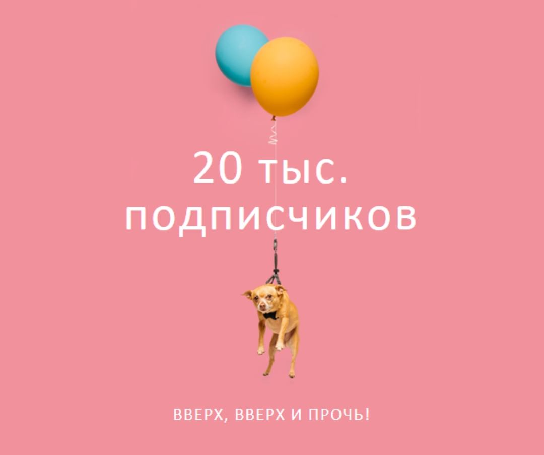 Собака на воздушном шаре pink modern-simple
