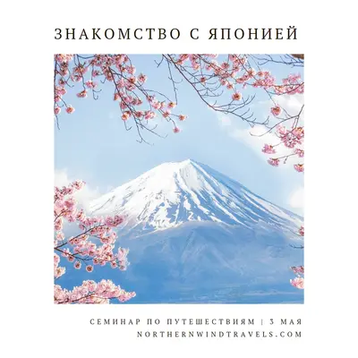 Вишневый цветок white modern-simple