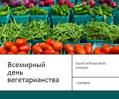 Завод с питанием green modern-bold