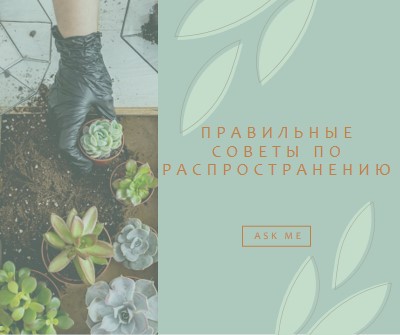 Просто сочный green organic-simple