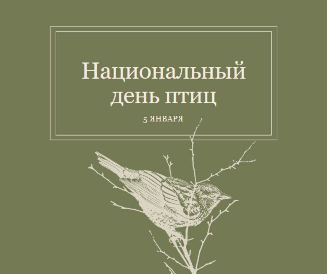 Пернатые друзья green vintage-botanical
