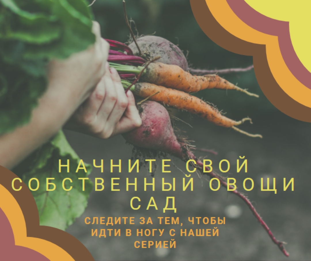 Выкорченная жизнь orange vintage-retro