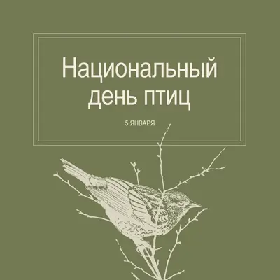 Пернатые друзья green vintage-botanical