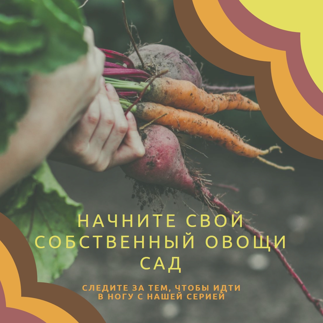 Выкорченная жизнь orange vintage-retro