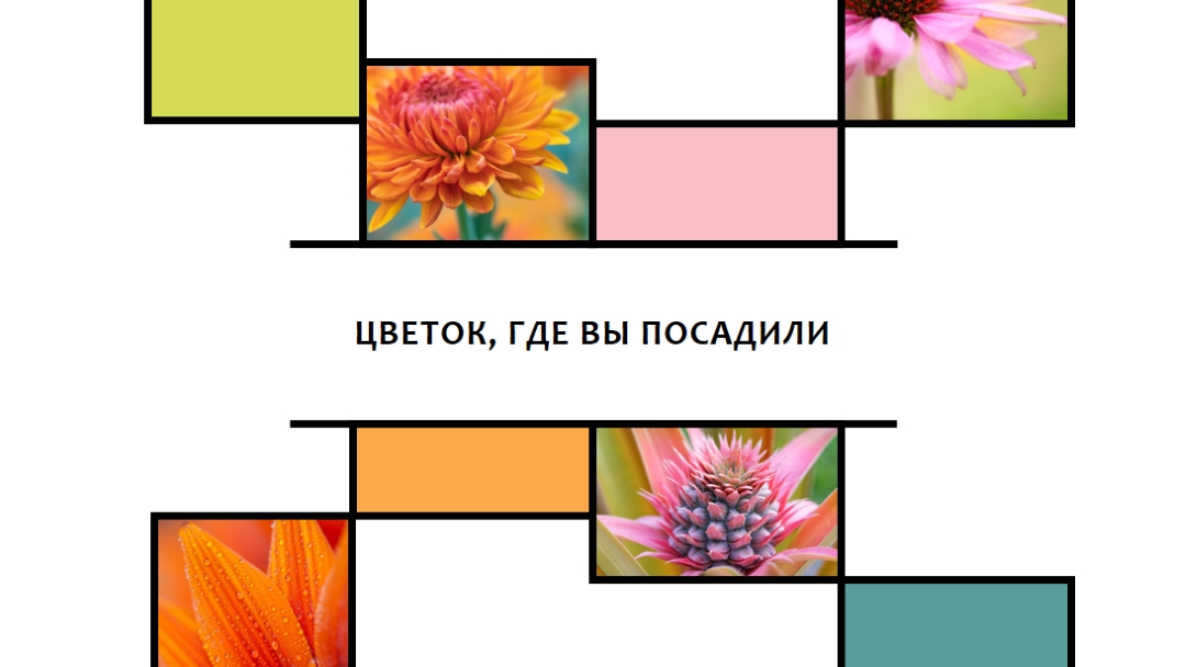 Цветок, где вы посадили white modern-geo-&-linear