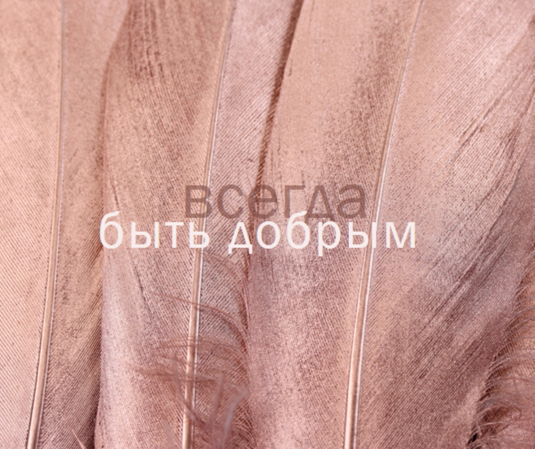 Дружественная структура pink modern-simple