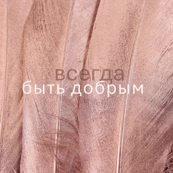 Дружественная структура pink modern-simple