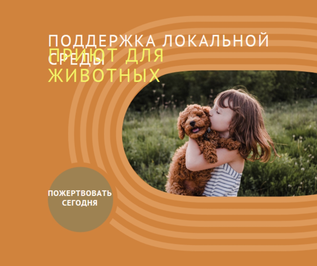 Помощник по укрытию orange whimsical-color-block