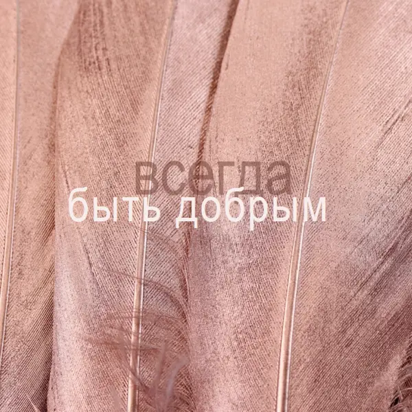 Дружественная структура pink modern-simple