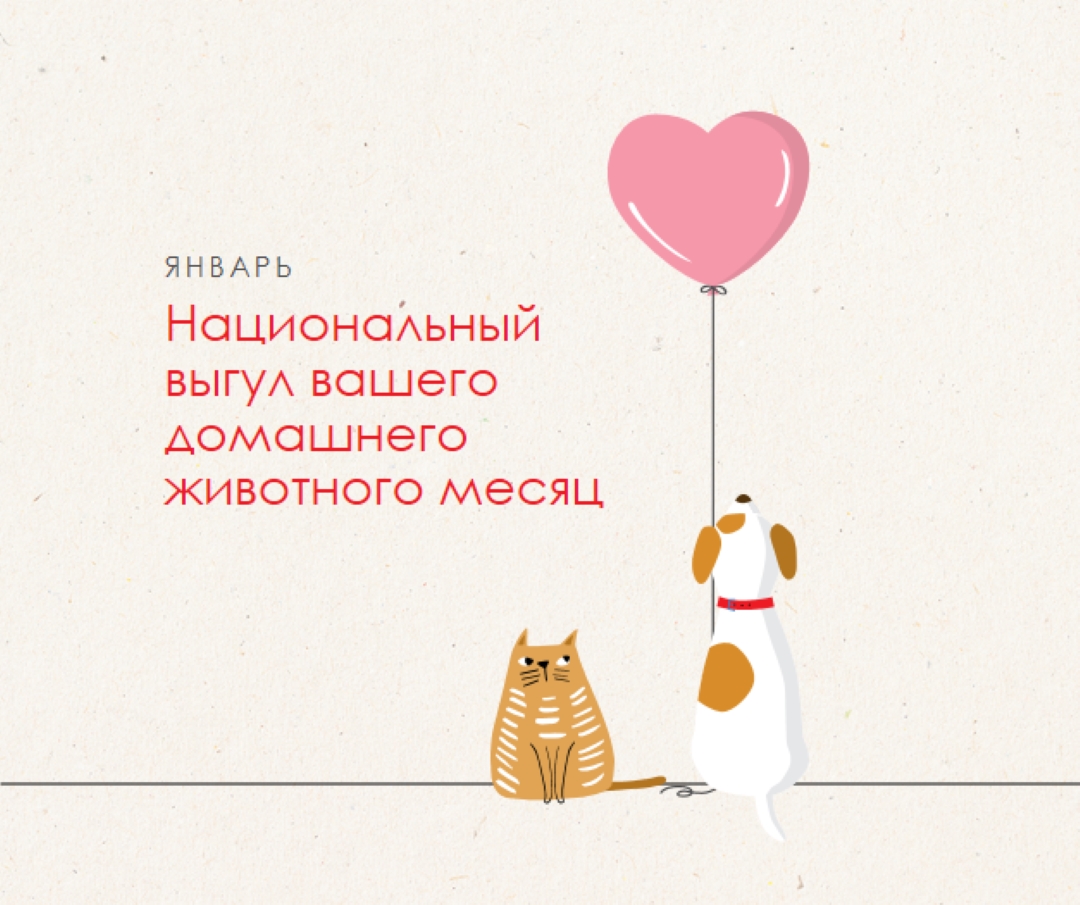 Прогулка со мной gray whimsical-color-block