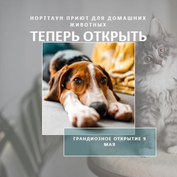Кошки и собаки gray modern-simple