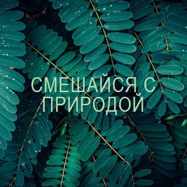 Смешайся с природой green modern-simple