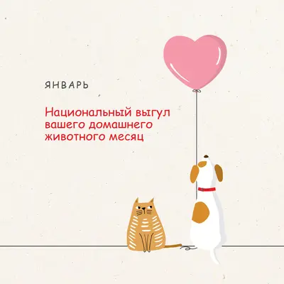 Прогулка со мной gray whimsical-color-block