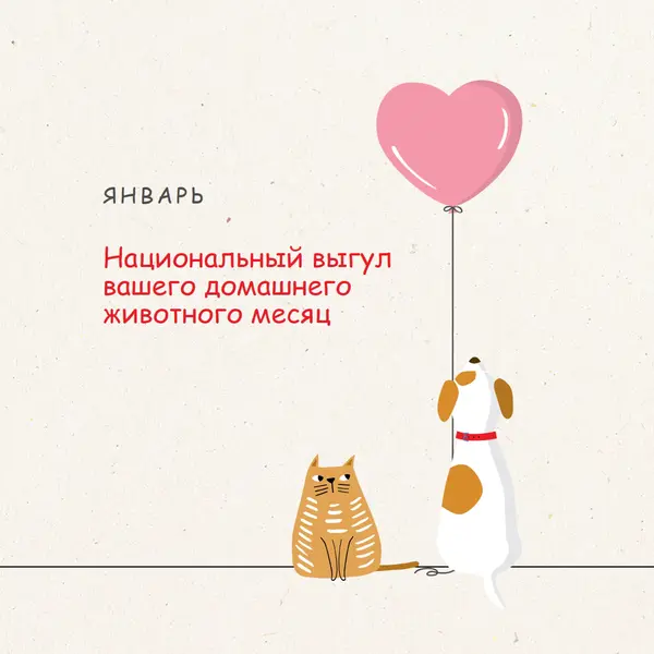 Прогулка со мной gray whimsical-color-block