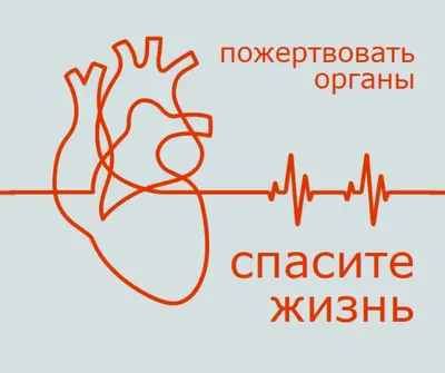 Стать донором органов blue whimsical-line