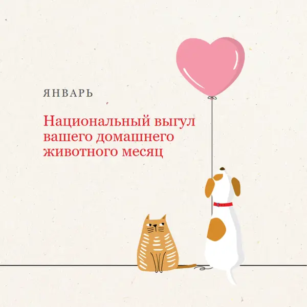 Прогулка со мной gray whimsical-color-block