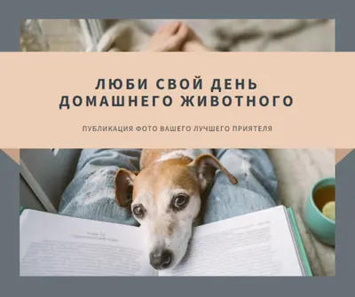 Ваш лучший приятель gray modern-simple