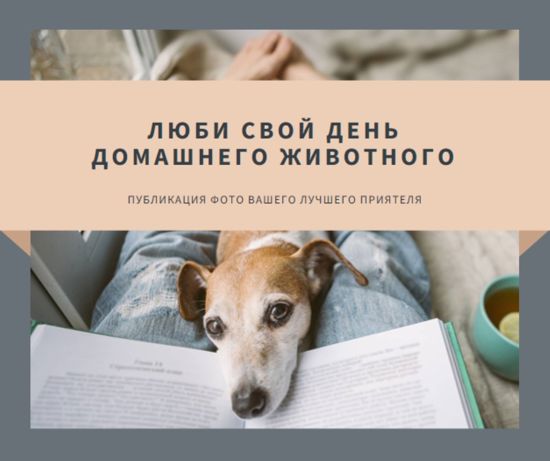 Ваш лучший приятель gray modern-simple