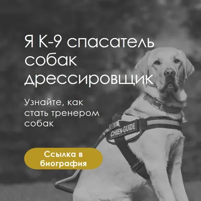 Я спасательная собака дрессировщик black modern-simple