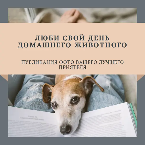 Ваш лучший приятель gray modern-simple