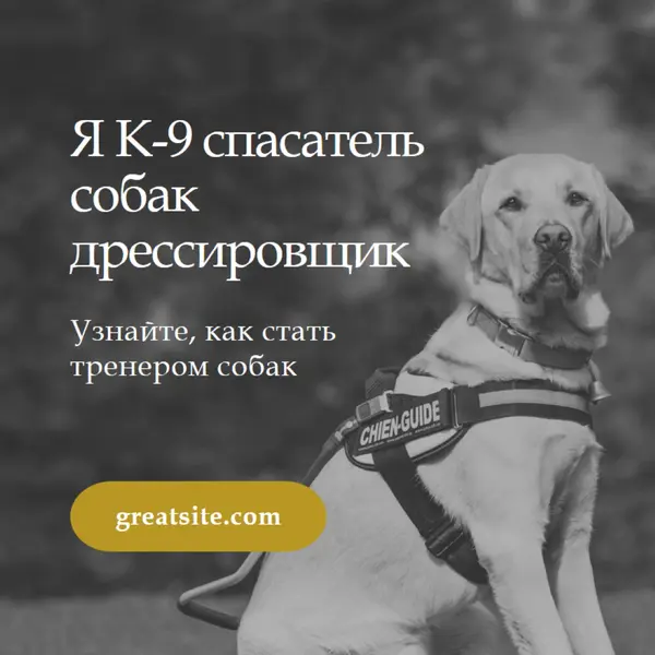 Я спасательная собака дрессировщик black modern-simple