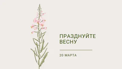 Празднуйте весну white vintage-botanical