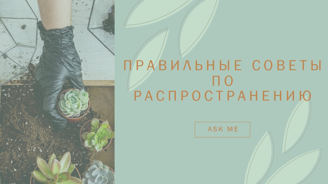 Просто сочный green organic-simple