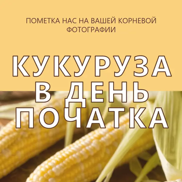 Отряд початка yellow modern-simple