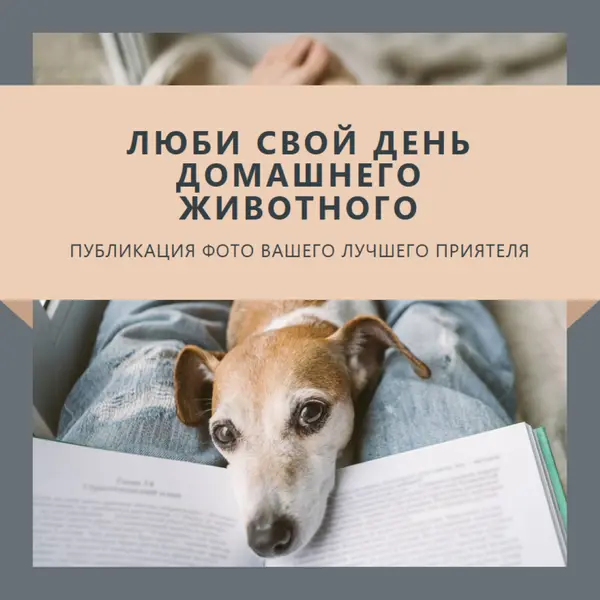 Ваш лучший приятель gray modern-simple
