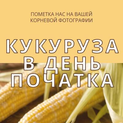 Отряд початка yellow modern-simple