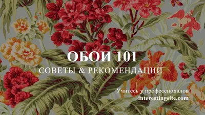 Полностью восстановлено green modern-simple