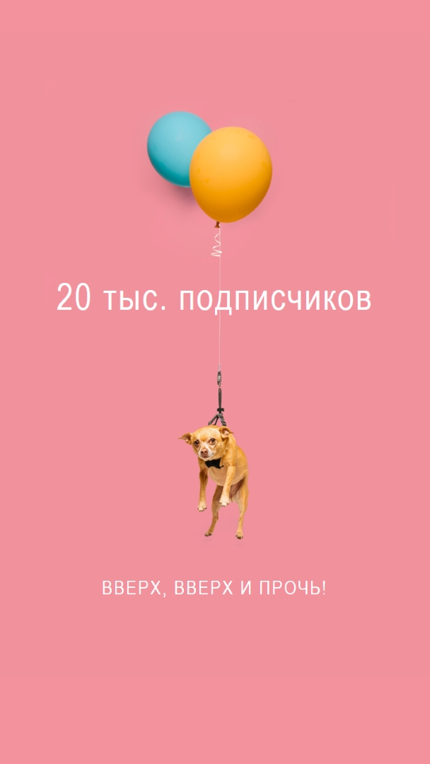 Собака на воздушном шаре pink modern-simple