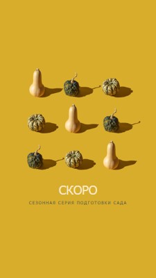 Вечеринка в саду yellow modern-simple