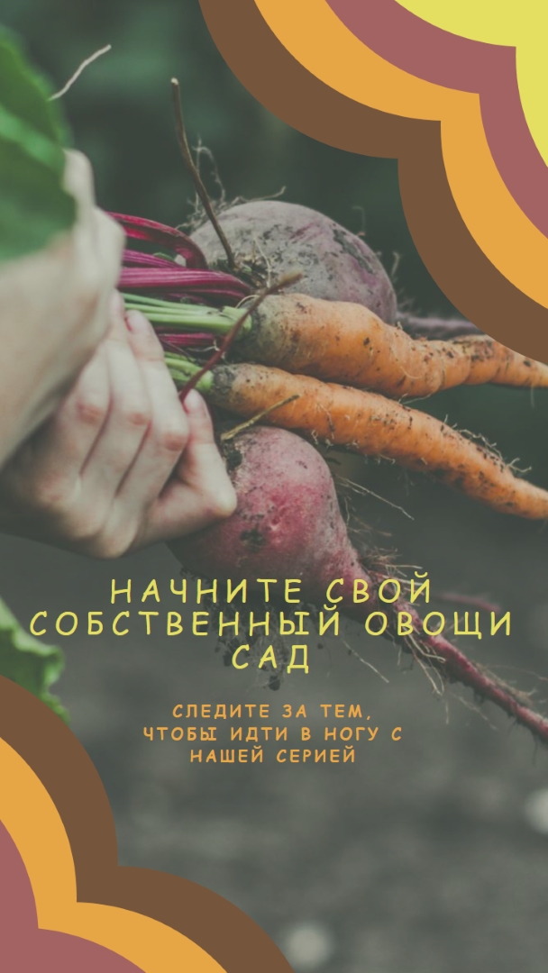 Выкорченная жизнь orange vintage-retro