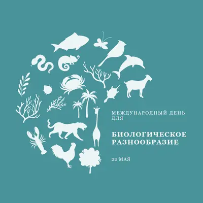 Отмечать Всемирный день биоразнообразия blue modern-simple