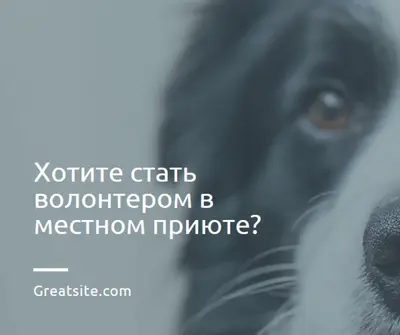 Доброволец и принеси ура blue modern-simple